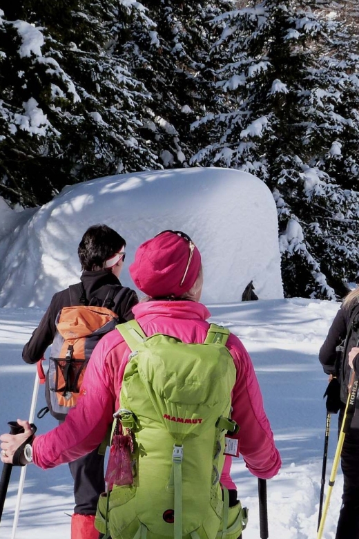 Innsbruck: Priv. Guided Snowy Mountain Hike /Snowshoe´s - Key things I’d plan around for this Tyrol snowshoe day