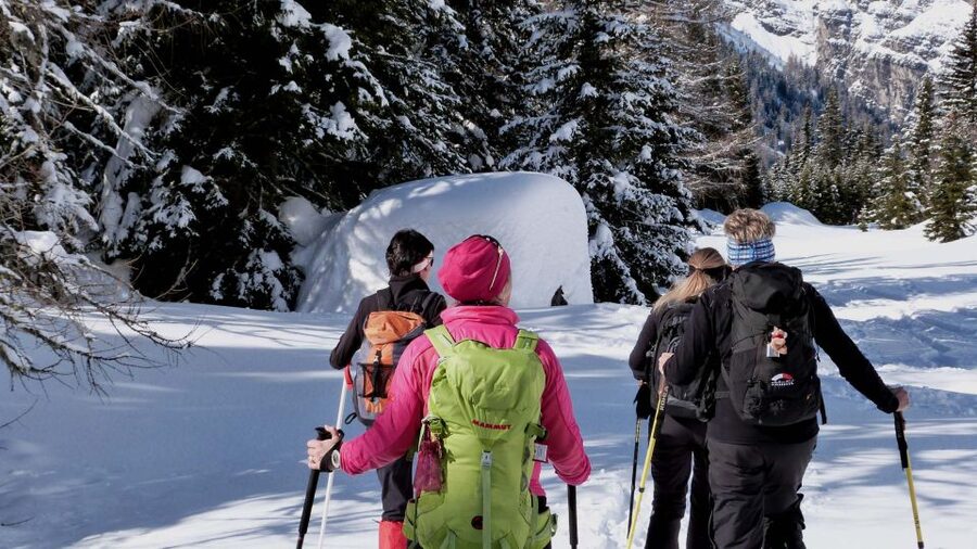 Innsbruck: Priv. Guided Snowy Mountain Hike /Snowshoe´s - A private snowy mountain day around Innsbruck, built for your pace