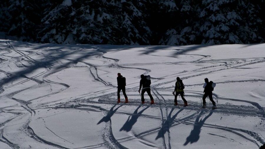 Innsbruck: Priv. Guided Snowy Mountain Hike /Snowshoe´s - What’s included, what’s not, and how that affects your budget
