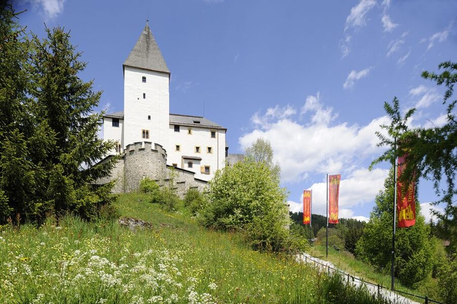 Mauterndorf: Castle Entrance Ticket - What you will see inside: chambers, vaults, and private rooms