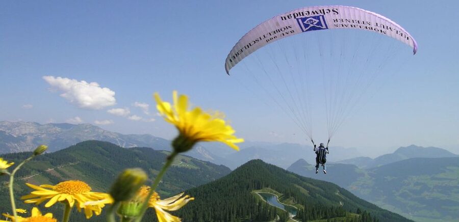 Mayrhofen: Paragliding Flight Experience Over Mountains - Price and value: is $141 per person reasonable?
