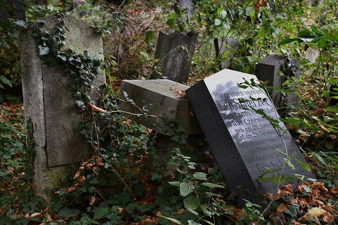 Mobile puzzle rally tour at the Vienna Central Cemetery - Key highlights worth aiming for