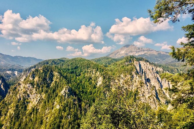 Ötschergräben Grand Canyon of Austria - Language, guide style, and why Karin’s approach matters