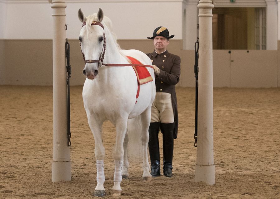 Performance Of The Lipizzans At Spanish Riding School - The comfort and rules that affect your planning