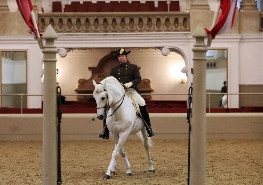 Performance Of The Lipizzans At Spanish Riding School - Should you book the Spanish Riding School Lipizzans?