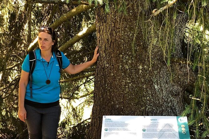 Power of Trees Private Tasting Tour - The Power of Trees nature trail: 32 tree species and 244 meters of climbing