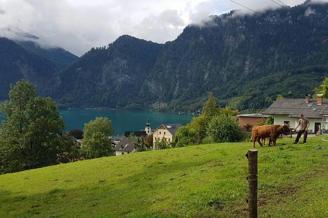 Private Day Trip from Vienna to Hallstatt - Lake Mondsee and St Gilgen: Mozart House plus a lakeside walk