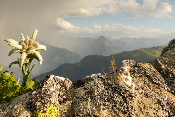 Private Eagle's Nest & The Hills are Alive - Lake Views, Mozart Bridge Area Stops, and the Wedding Basilica