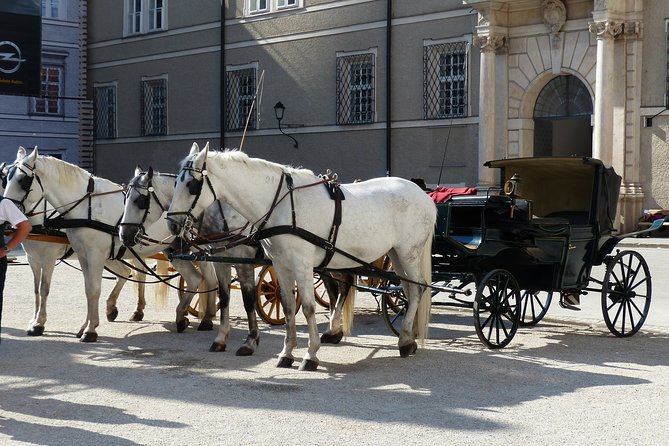 Private full day tour to Salzburg from Vienna with a local guide - The private format: why this is good value for up to 3 people