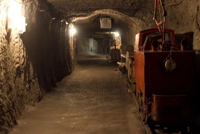 Private guided tour from Vienna to Hallstatt with Skywalk & Salt Mine Experience - Practical tips before you go