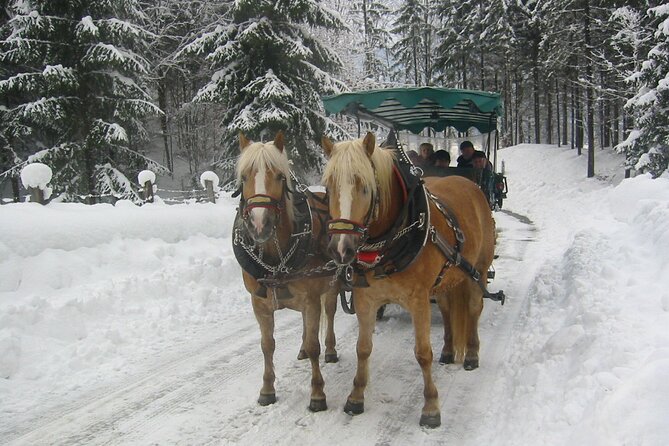 Private Horse-Drawn Sleigh Ride from Salzburg - Key highlights at a glance