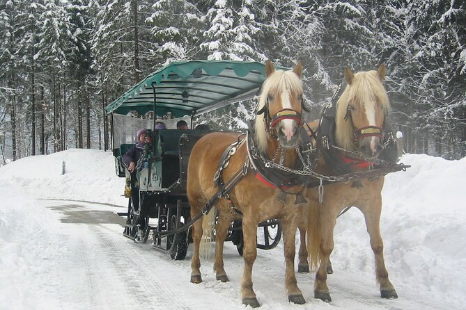 Private Horse-Drawn Sleigh Ride from Salzburg - Sankt Wolfgang: the lakeside town stop that makes it feel like a trip