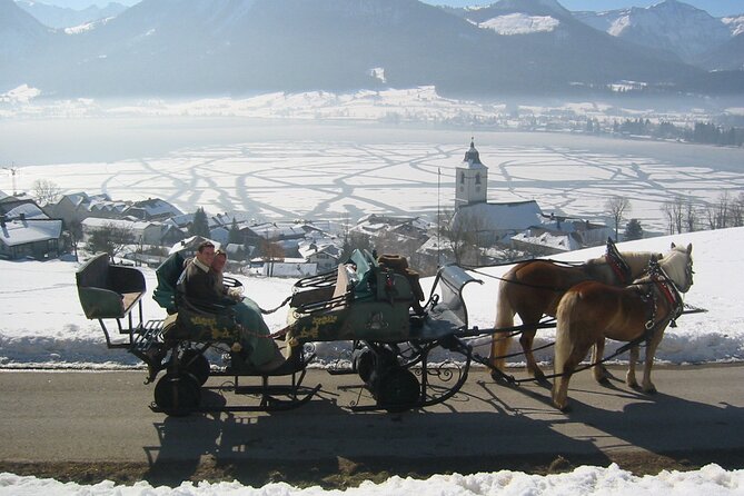 Private Horse-Drawn Sleigh Ride from Salzburg - The vehicle, the guiding, and why names keep showing up