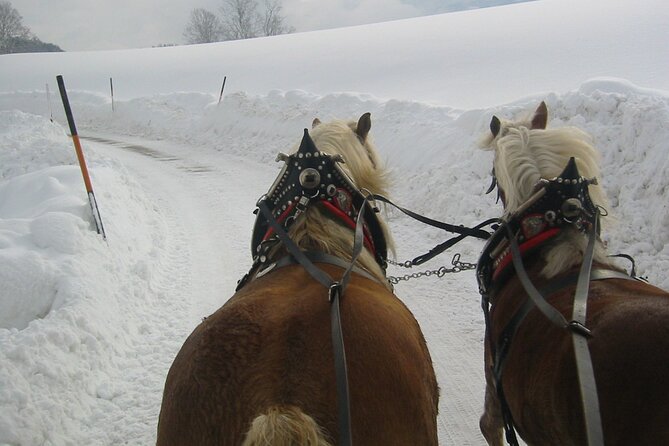 Private Horse-Drawn Sleigh Ride from Salzburg - Faistenau and mountain air breaks you will actually feel