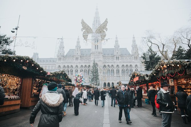 Private Introduction to Vienna Walking Tour - Old city walls, Ottoman sieges, and the Ringstrasse shift