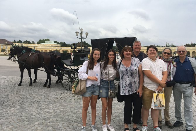Private Schönbrunn Palace and Gardens Tour - Starting outside Schönbrunn: gardens first, palace second