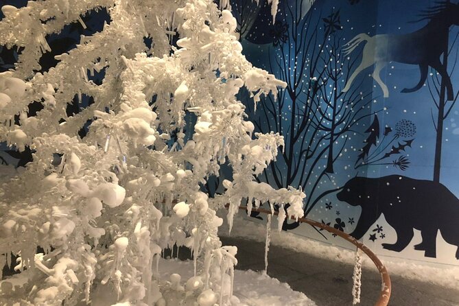 Private Tour of Swarovski Crystal World from Innsbruck - The Swarovski Shop: Plan Your Browse Time