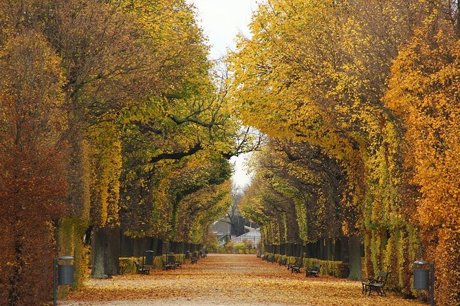 Private transfer from Salzburg to Vienna, 2 hours for sightseeing - What is included, and where you still need to plan