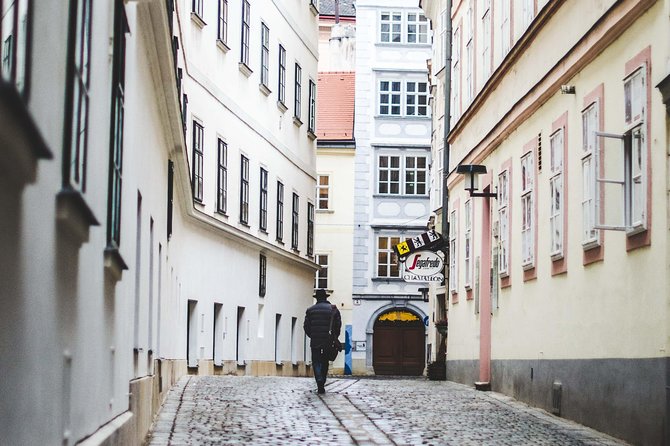 Private transfer from Salzburg to Vienna with 4h of Sightseeing - Value for money: what you get for about $402.53 per person