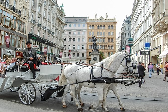 Private Vienna City Tour with Schonbrunn Palace Visit - Key Highlights at a Glance