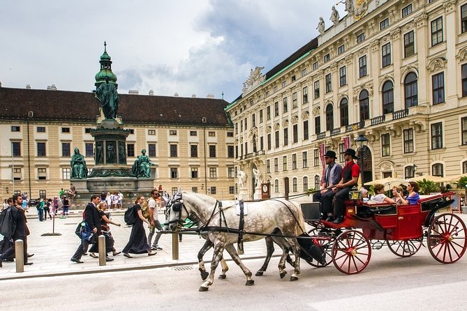 Private Vienna City Tour with Schonbrunn Palace Visit - Common Snags to Watch Before You Book