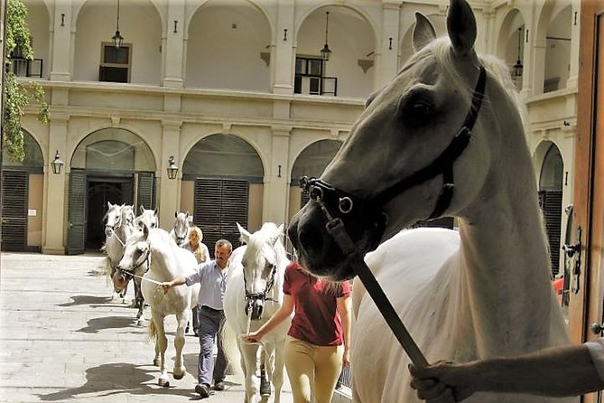 Private Vienna Highlights History Walk — WWII and Post War Vienna - Upper Belvedere gardens: the view that turns into a Second Republic story