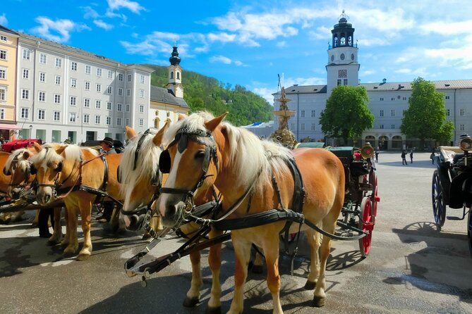 Salzburg and Lake Region Private Day Trip from Vienna - Pricing and value for a private group van