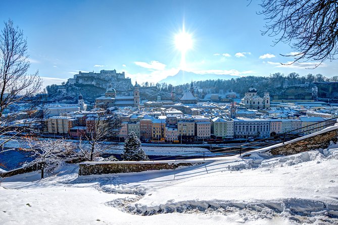 Salzburg Christmas Market & City Tour - Back at Residenzplatz Market for the Christmas Tree Tradition