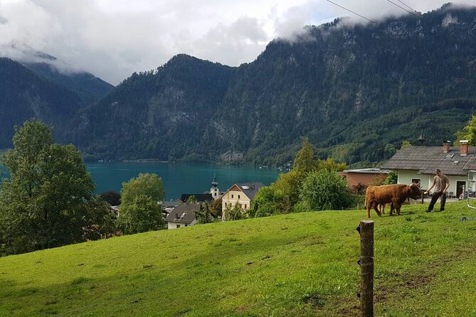 Salzburg Small-Group Day Trip from Vienna - A realistic expectation check before you book