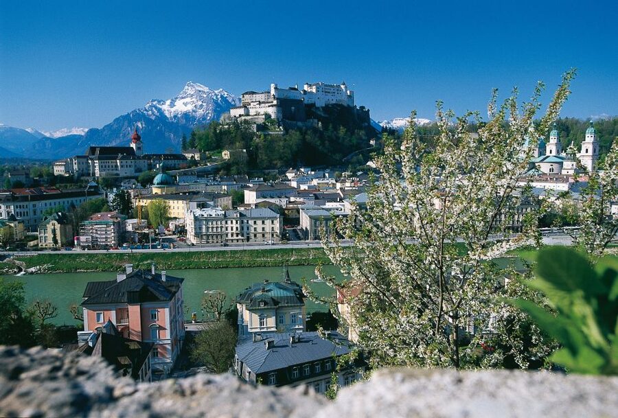 Salzburg: Sound of Music Private Half-Day Tour - Key highlights you’ll remember