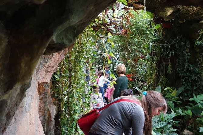 Schmetterlinghaus - Imperial Butterfly House Vienna Admission Ticket - Price and value: is $13 a fair deal?
