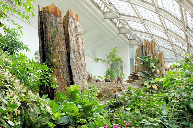 Schmetterlinghaus - Imperial Butterfly House Vienna Admission Ticket - What your ticket gives you, and what to expect inside