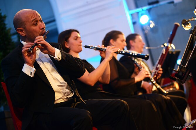 Schönbrunn Palace Concerts in Vienna - Venue comfort, sound, and the crowd reality
