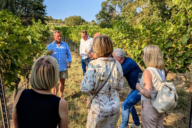 Small-group Vienna Wine Tour - Stopping for the big sights, at a pace that fits 4 to 5 hours