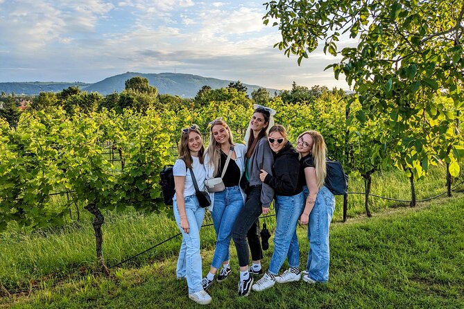 Small-group Vienna Wine Tour - Wine tasting that aims for local character, not generic pours