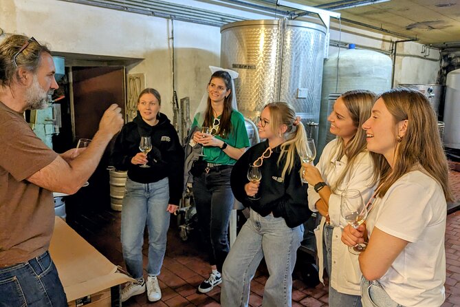 Small-group Vienna Wine Tour - How the guide style changes the whole experience