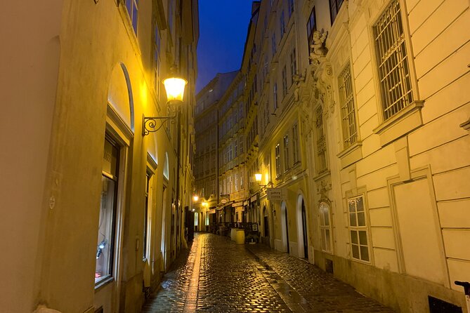 Spooky Vienna Ghost Tour in English - Stephansplatz and St. Stephen’s: The Cursed North Tower Finale