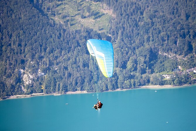 Tandem Paragliding St. Gilgen - Wolfgangsee - Over Lake Wolfgang: what you actually see from the air
