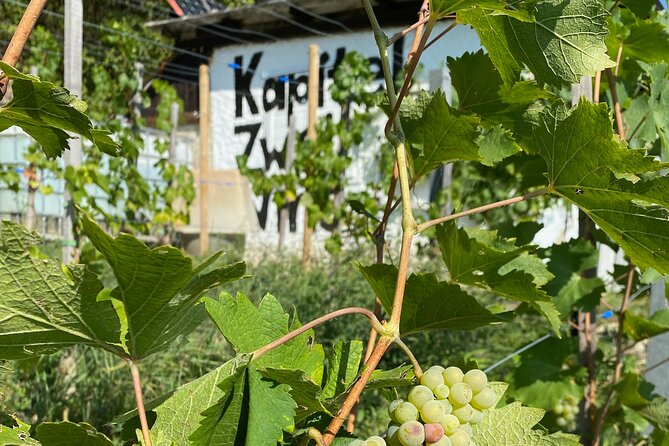 Taste and Tour Small Organic Wineries with a Winemaker - Quick reasons this organic wine afternoon works