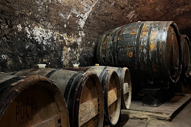 Taste and Tour Small Organic Wineries with a Winemaker - Cheese pairing, snacks, and pacing that keeps the tasting fun