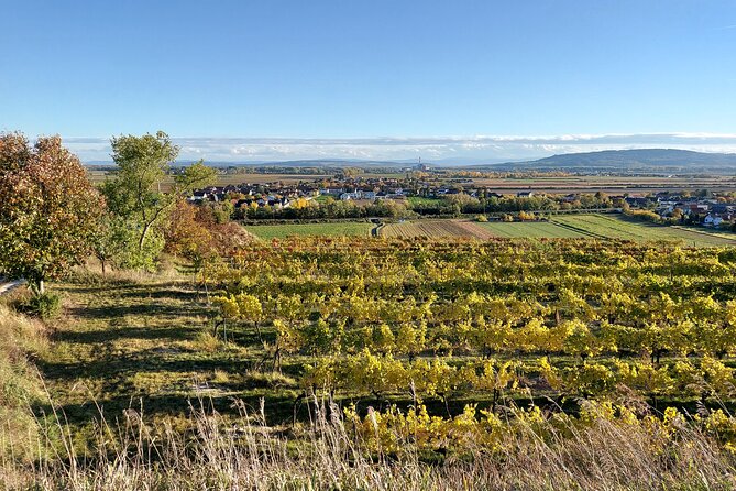 Taste and Tour Small Organic Wineries with a Winemaker - Who this tour suits best, and who should skip it