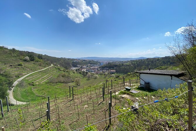 Taste and Tour Small Organic Wineries with a Winemaker - Bahnhofpl. 3 to vineyards, with comfort you can feel