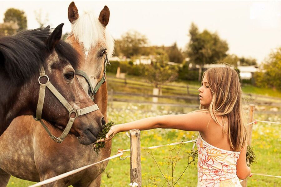 Vienna 1- or 2-Hour Professional Photo Shoot - The Photo Style: Natural, Unobtrusive, and Actually Vacation-Friendly