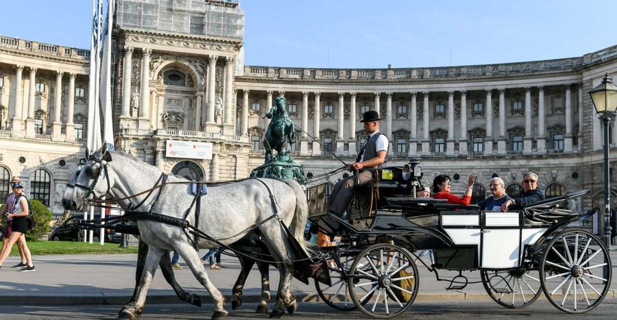 Vienna: 30-Minute Fiaker Ride in the Old Town - Key things to know before you ride