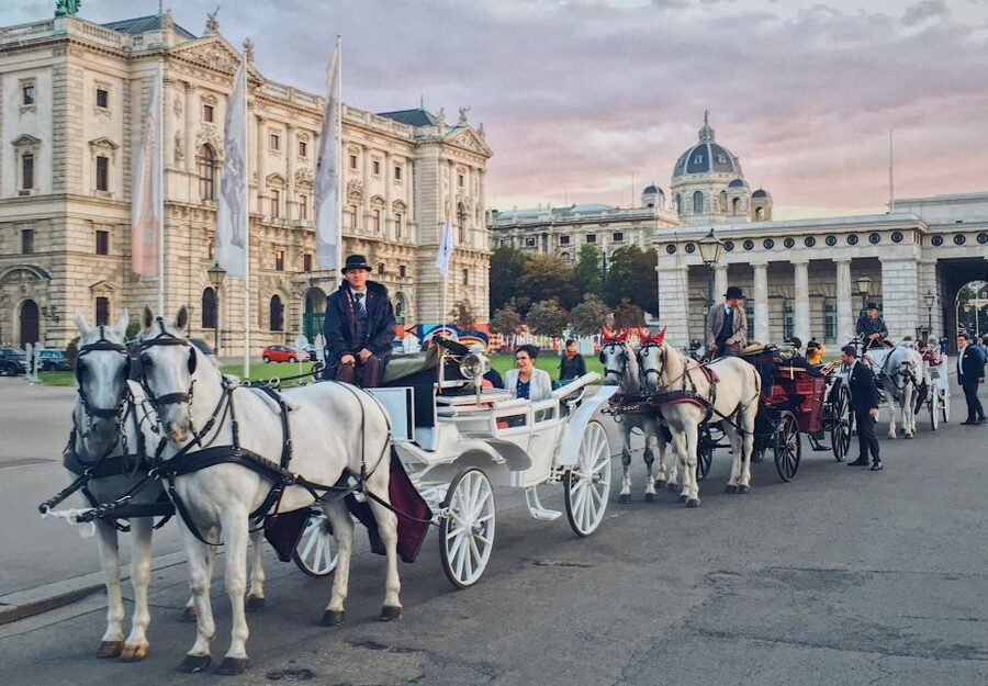 Vienna: 30-Minute Fiaker Ride in the Old Town - A 30-minute Fiaker ride that keeps Vienna fun and doable