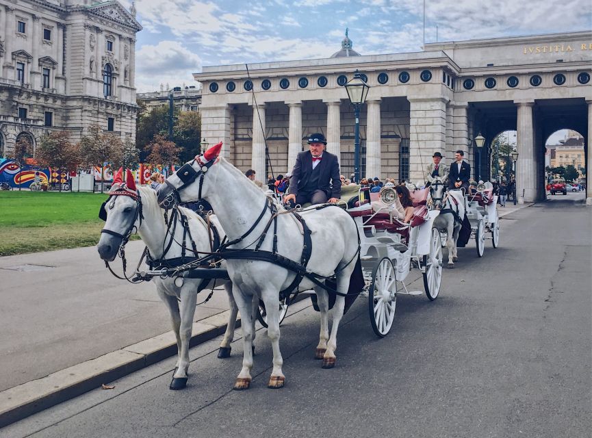 Vienna: 30-Minute Fiaker Ride in the Old Town - Vienna Town Hall Square, where local life shows up