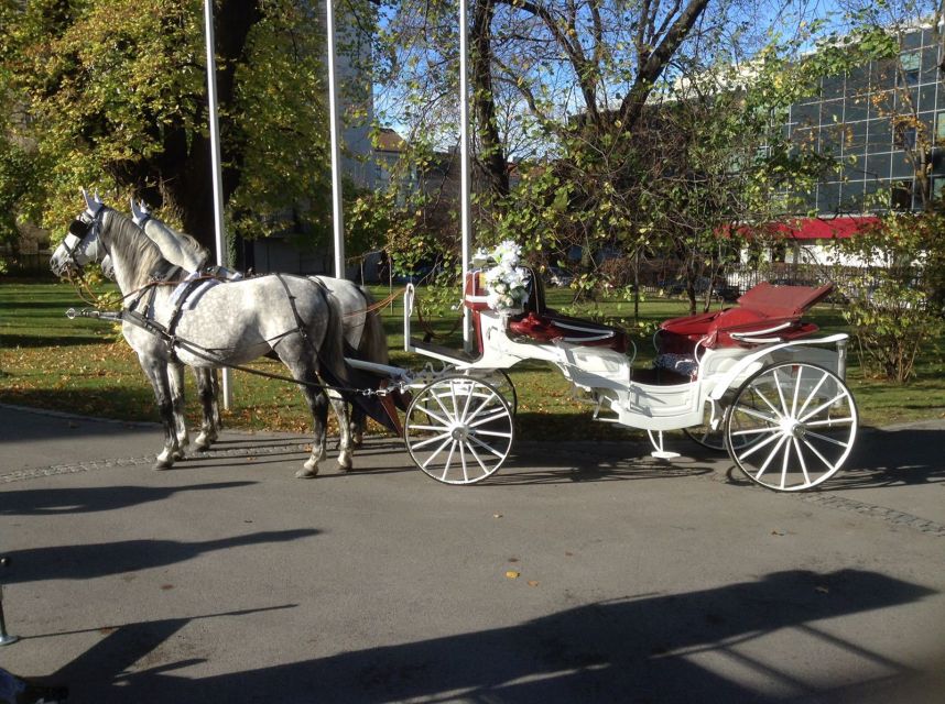 Vienna: 30-Minute Fiaker Ride in the Old Town - Stopping back at St. Stephen’s, for an easy finish