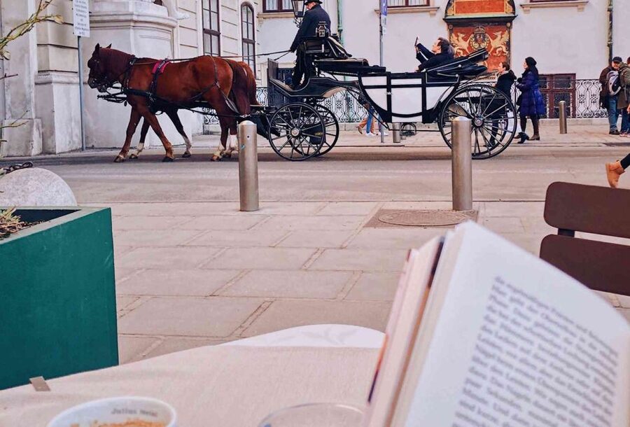 Vienna: 30-Minute Fiaker Ride in the Old Town - Where you start matters: St. Stephen’s or Michaelerplatz