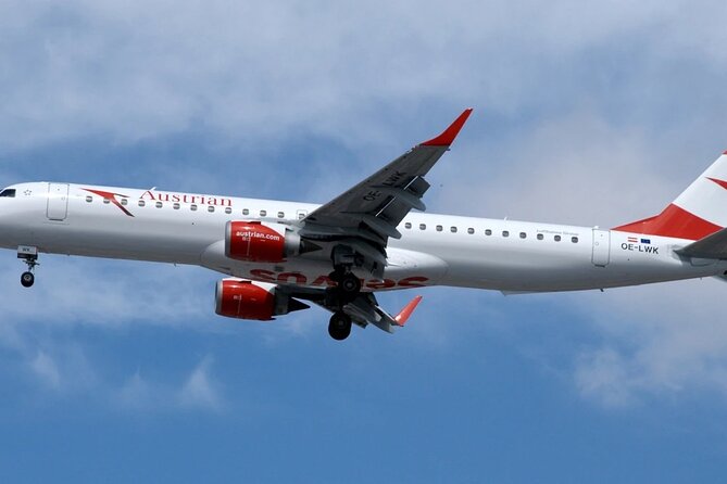Vienna Airport Transfer from Vienna City with Private Driver - From Schwechat to Vienna City Without the Hassle