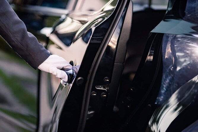 Vienna Airport Transfers From Vienna City With Private Driver - Arrival at Vienna International Airport: Terminal Drop-Off With Flight Details